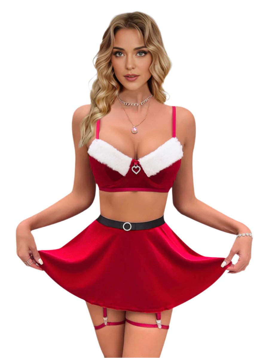 Costume Inspire Sexy Santa Outfit for Women