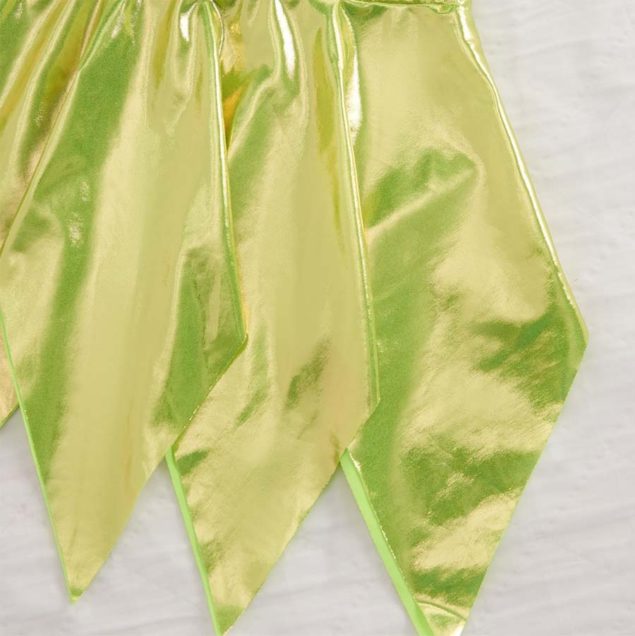 Metallic Green Forest Fairy Costume Set with Wings - Costume Inspire